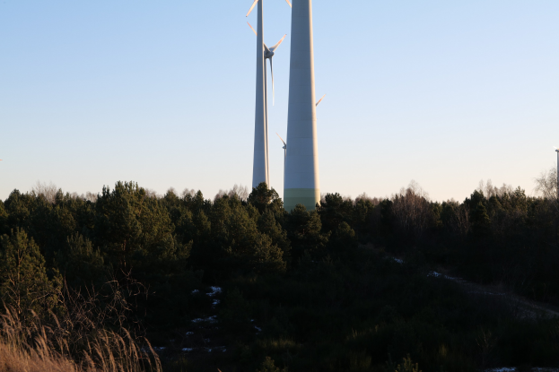 Eine Gruppe von Windkraftanlagen in einem Feld mit Bäumen und Pflanzen, die gegen einen sichtbaren Himmel gesetzt sind, wahrscheinlich Teil eines Windparks, der Strom erzeugt.