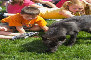 Kinder sitzen auf Gras mit einem Hund.