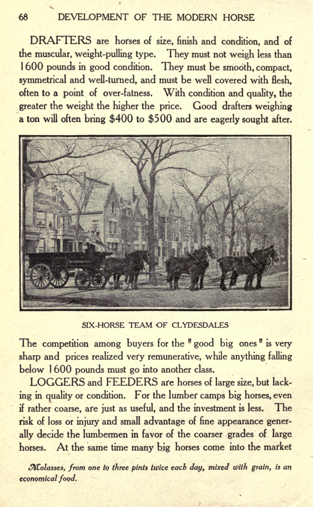 Ein altes Buch mit einer Illustration eines Pferdewagens in einer Stadtkulisse, umgeben von Text.