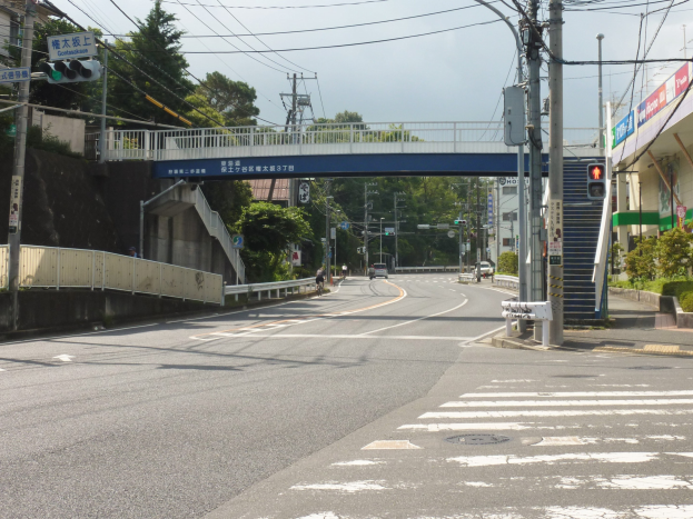 Eine Stadtstraße mit einer Fußgängerbrücke darüber, Fahrzeuge auf der Straße, Strommasten mit Drähten, Verkehrsampeln, Schilder, Gebäude mit Fenstern, Bäume, Pflanzen und einen Himmel im Hintergrund.