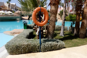 Ein Schwimmbad mit einem Rettungsring in der Mitte, umgeben von grünem Gras, Pflanzen und Bäumen, mit Gebäuden, Schirmen und einem klaren blauen Himmel im Hintergrund.