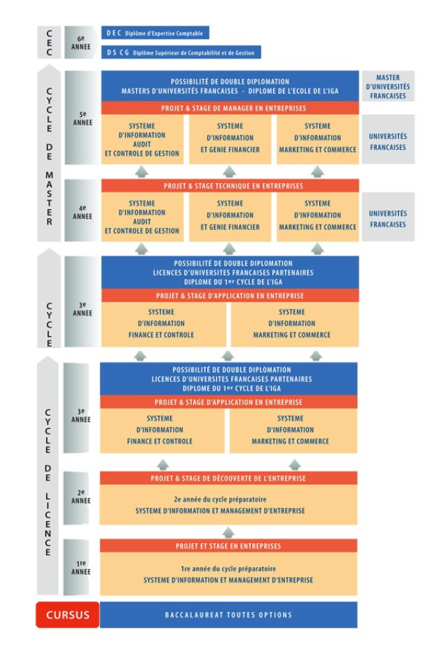 Diagramm, das die organisatorische Struktur eines Unternehmens mit interconnected boxes darstellt, die die Stufen der Geschäftsentwicklung darstellen, begleitet von beschreibendem Text.