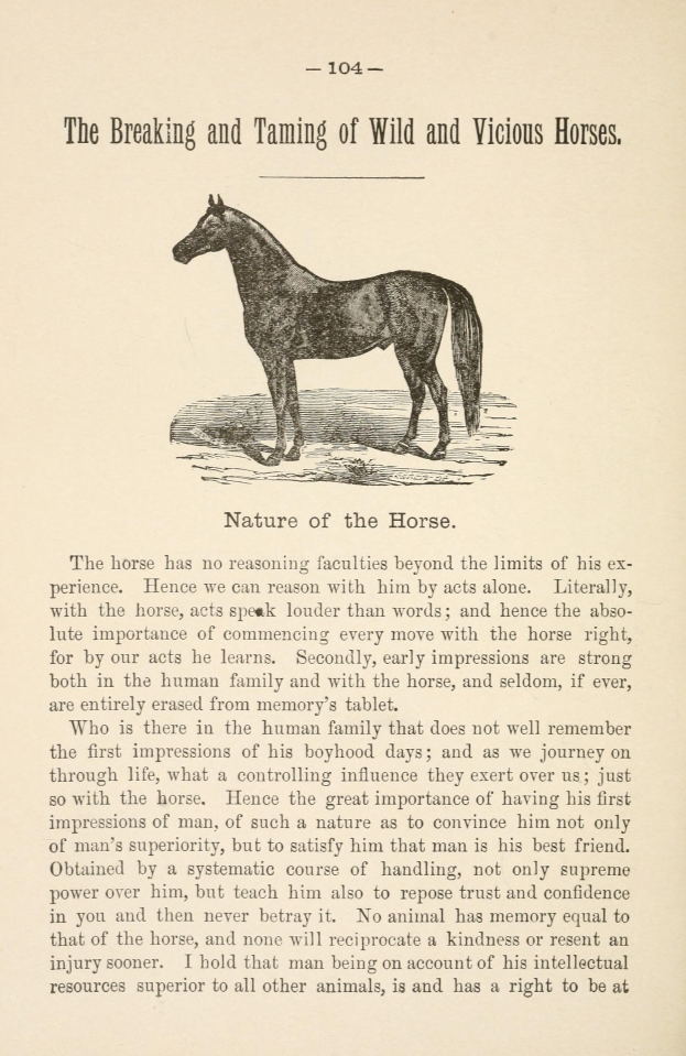 Ein Blatt Papier mit einer Zeichnung eines aufgerichteten Pferdes mit hoher Kopfhaltung, wallender Mähne und Schweif, weiten Augen und aufgerichteten Ohren, neben fettgedrucktem Text, der "Das Zureiten und Zähmen wilder und bösartiger Pferde" lautet.