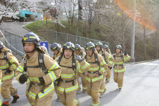 Eine Gruppe von Feuerwehrleuten in Helmen, die eine von Bäumen gesäumte Straße mit Polen, Drähten und Maschendrahtzaun entlanggehen, mit Gebäuden und einem klaren blauen Himmel im Hintergrund.