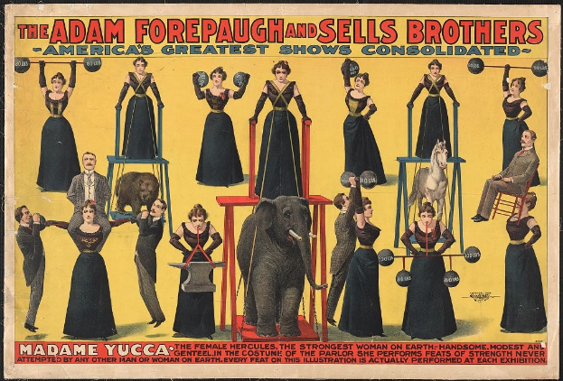 Plakat für die reisende Show von Adam Forepaugh und Sells Brothers mit Performern auf Hockern und einem zentralen Elefanten sowie Werbetext.