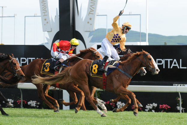 Zwei Jockeys auf Pferden rennen auf einer von grünem Gras und Blumenpflanzen umgebenen Bahn, mit Texttafeln im Hintergrund, wahrscheinlich während des Melbourne Cup 2012, mit dem Jockey in der foreground als Sieger.
