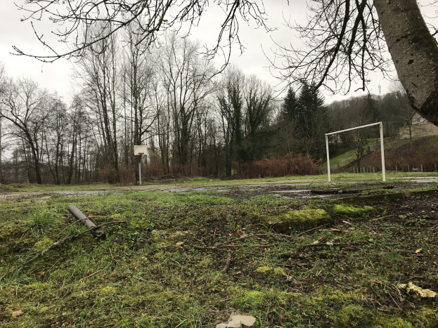 Ein verlassener Basketballplatz in einer grünen Wiese umgeben von hohen Bäumen unter einem klaren blauen Himmel.