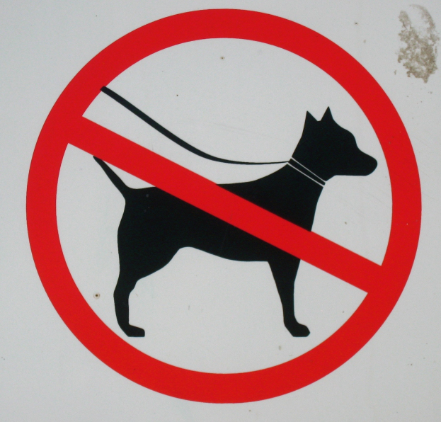 Ein Schild an einem Gebäude mit einer Hundendarstellung, das anzeigt, dass Hunde in dem Bereich nicht erlaubt sind.