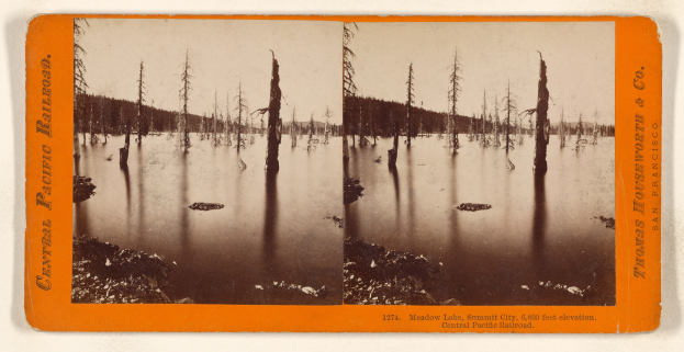Schwarzes und weißes Foto eines Sees mit toten Bäumen im Wasser, umgeben von Hügeln unter einem sichtbaren Himmel, mit Textüberlagerung.
