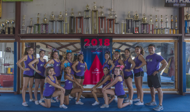 Eine Gruppe von Cheerleadern in lila T-Shirts und schwarzen Shorts posiert vor einem Vitrinenschrank mit einer Tafel, auf der "2018 Summit Cheerleading Champions" steht.