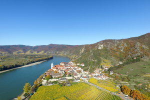 Kleiner Ort an den Ufern des Rheins, umgeben von grünen Hügeln und Weinbergen, mit sichtbaren Gebäuden, Bäumen und Fahrzeugen unter einem blauen Himmel.